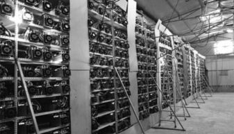 An advanced mining rig setup in a professional hosting facility, highlighting the efficiency and scalability of modern crypto mining